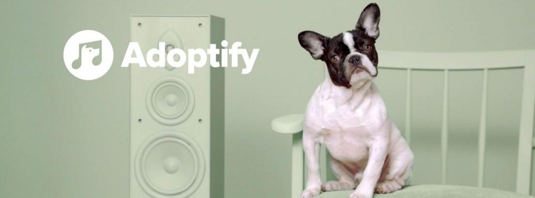 Adoptify fomenta la adopción de perros a través de la música