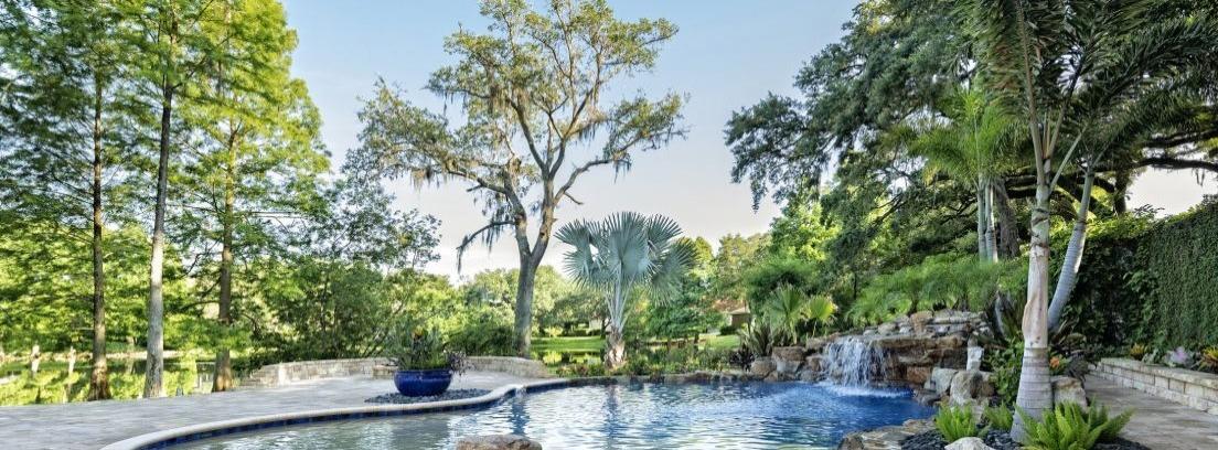 Plantas para decorar los alrededores de la piscina