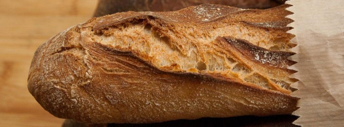 Tipos de masa madre o impulsores de masa ácida