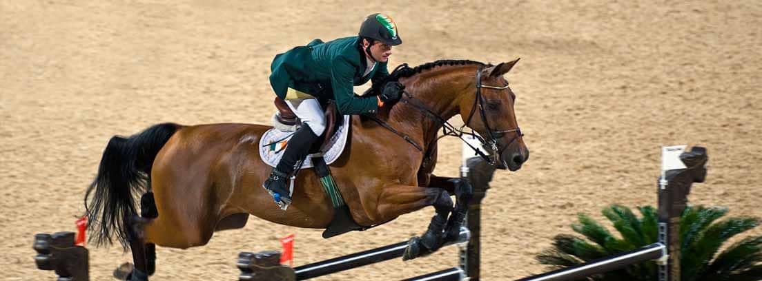 Licencia federativa para caballos