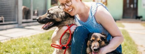 Derechos de tu mascota en el transporte público