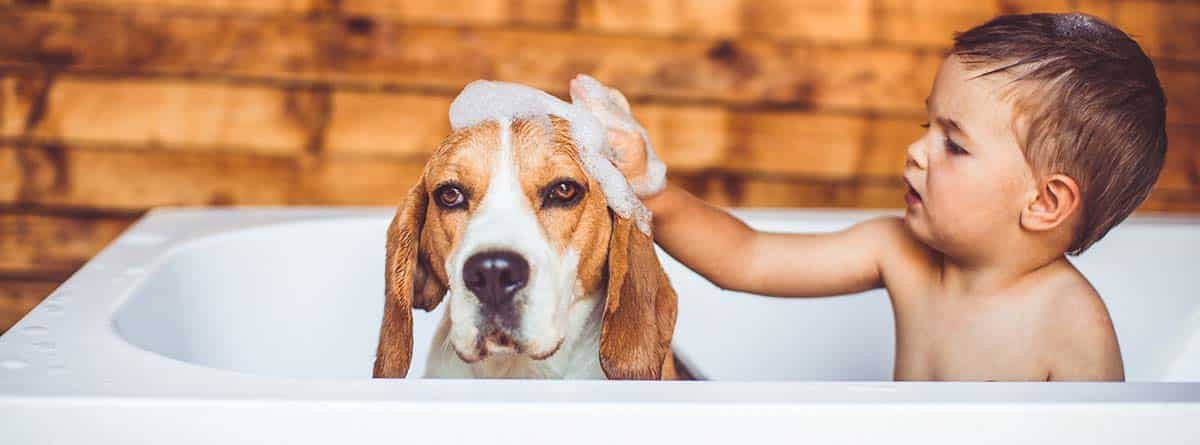 Cómo instalar una bañera en un baño pequeño